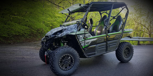 Kawasaki Teryx4LE